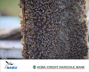 ACBA-Credit Agricole Bank и NABU объявили победителей программы <Развитие органического сельского хозяйства> 2017-2018гг.